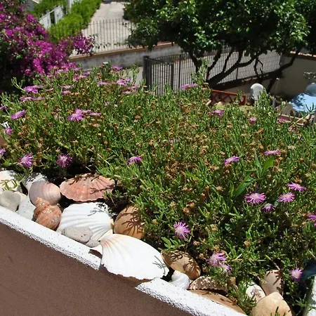 Hébergement de vacances La Bouganville 400 M From The Sea